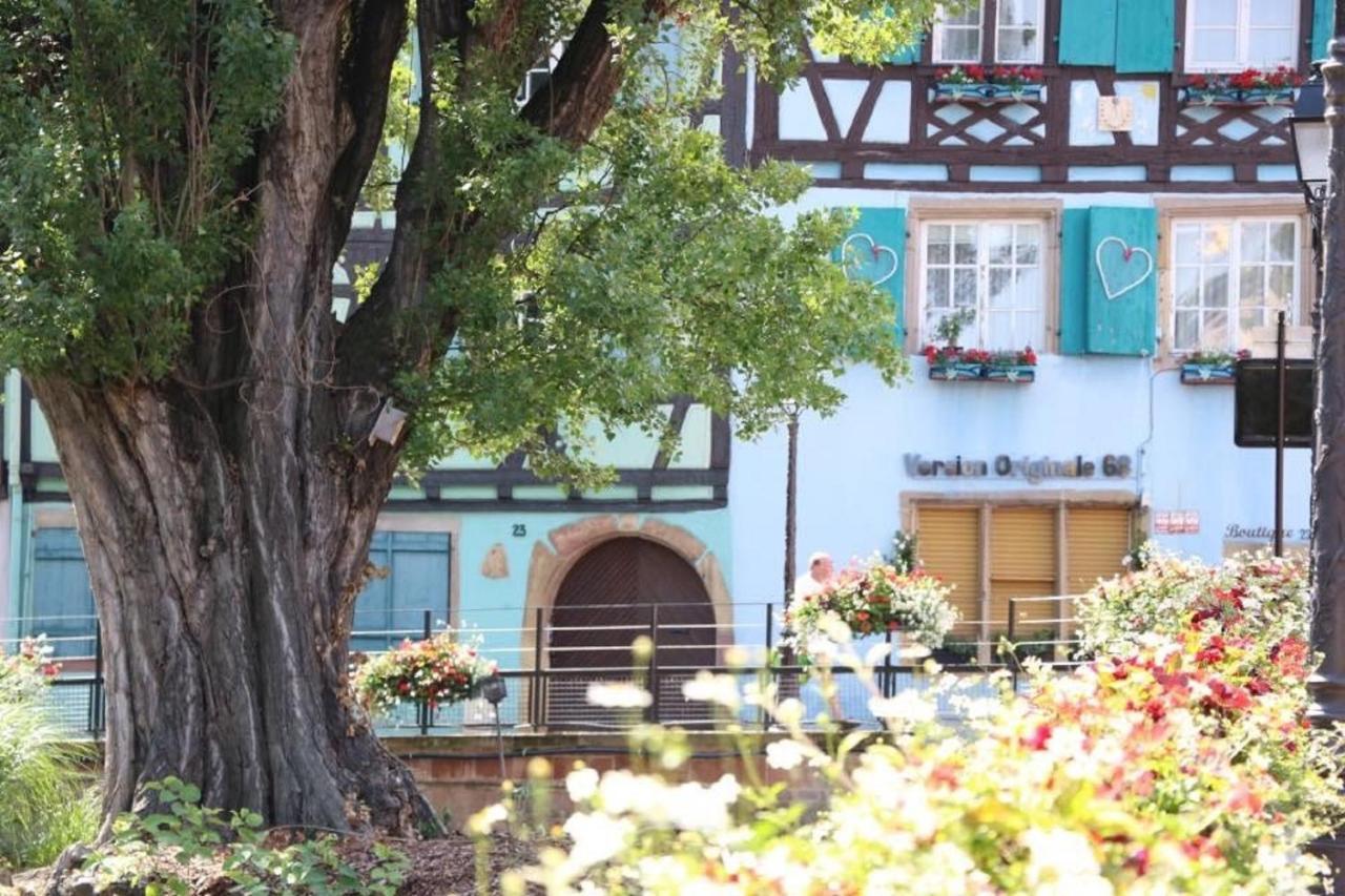 Gite Moka45 Centre Historique "Climatise" Colmar Eksteriør bilde